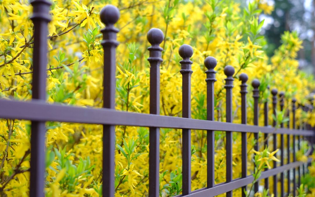 Custom Fence